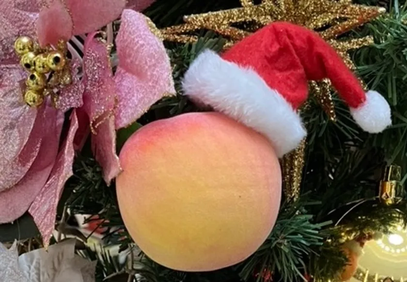 MOMOテラス_MOMOまみれフェス~Christmas~_サンタ桃