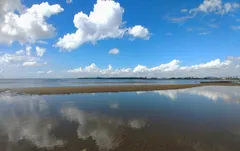 葛西海浜公園の美しい干潟