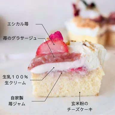 2024seedクリスマスケーキ3