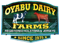 株式会社オオヤブデイリーファーム
