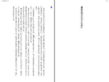 電子書籍ビューワ（iPad)