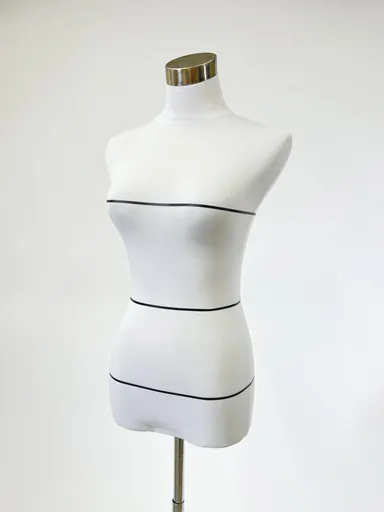 使用例_ボディライン