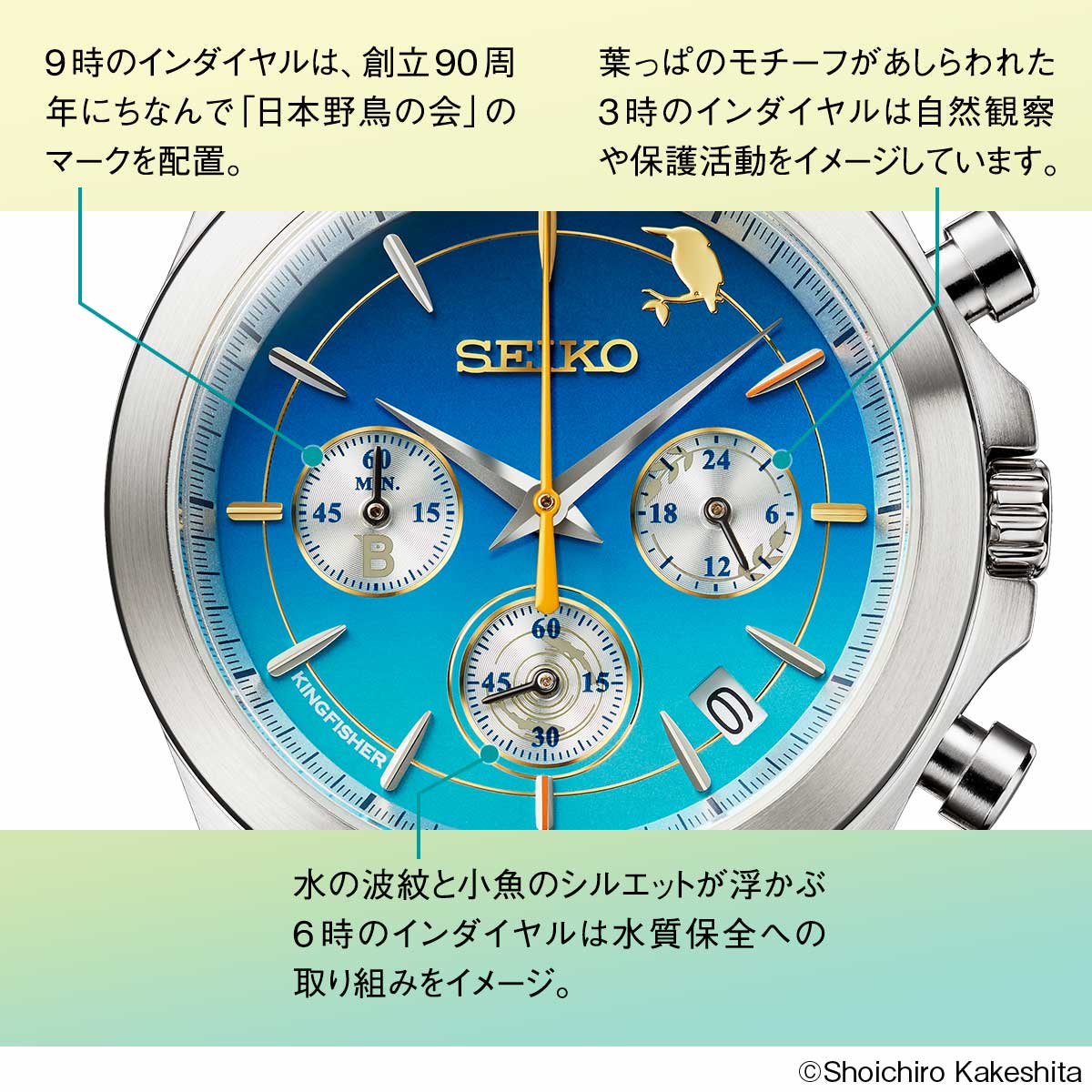 日本野鳥の会創立90周年を記念して 「水辺の青い宝石」翡翠を