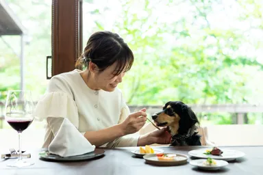 ワンちゃんフルコースディナー