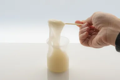 小野玉川堂「とろけるチーズわらび餅」