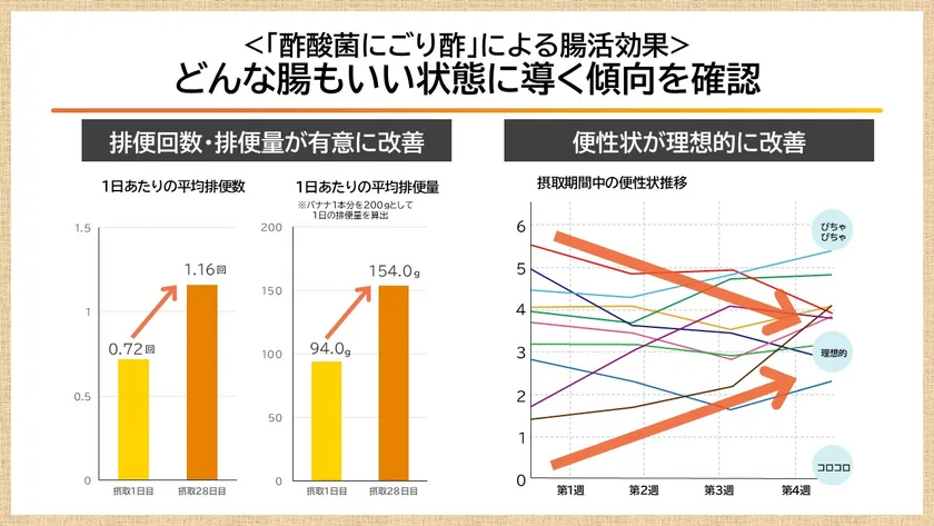 酢酸菌はどんな腸もいい状態に導く
