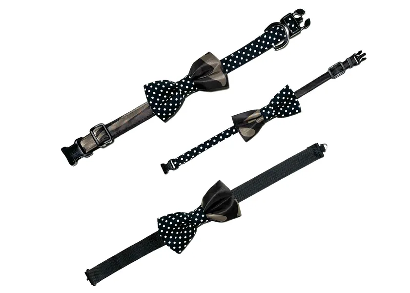 TIVO&TITO ペア蝶ネクタイ限定カラー