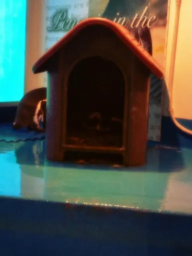 見えますでしょうか？卵が写っています