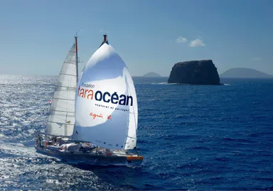 (C)Sacha Bollet / Fondation Tara Ocean