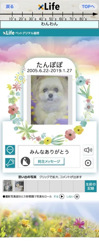 xLife ペットデジタル墓標