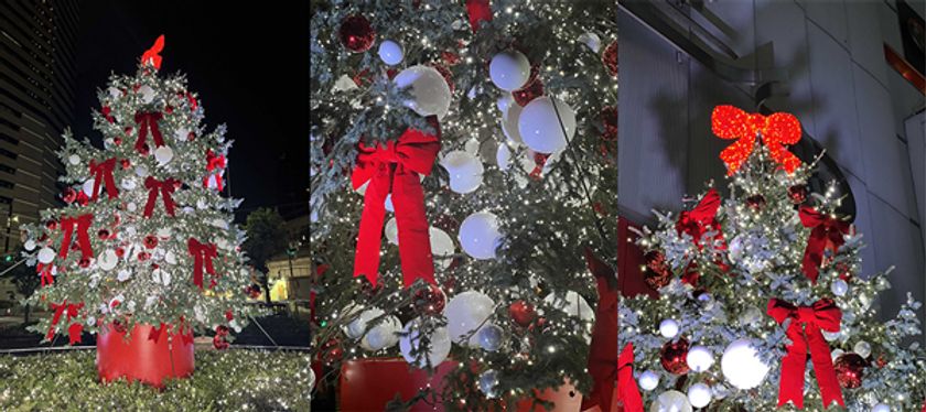 日本国内では希少な事例となる、
生木のクリスマスツリーの再利用！ 
HEP FIVEが贈る新しい“国内循環型クリスマス”