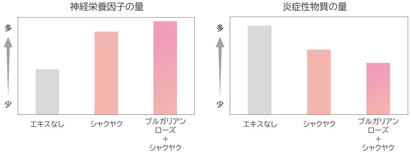 神経栄養因子の量／炎症性物質の量