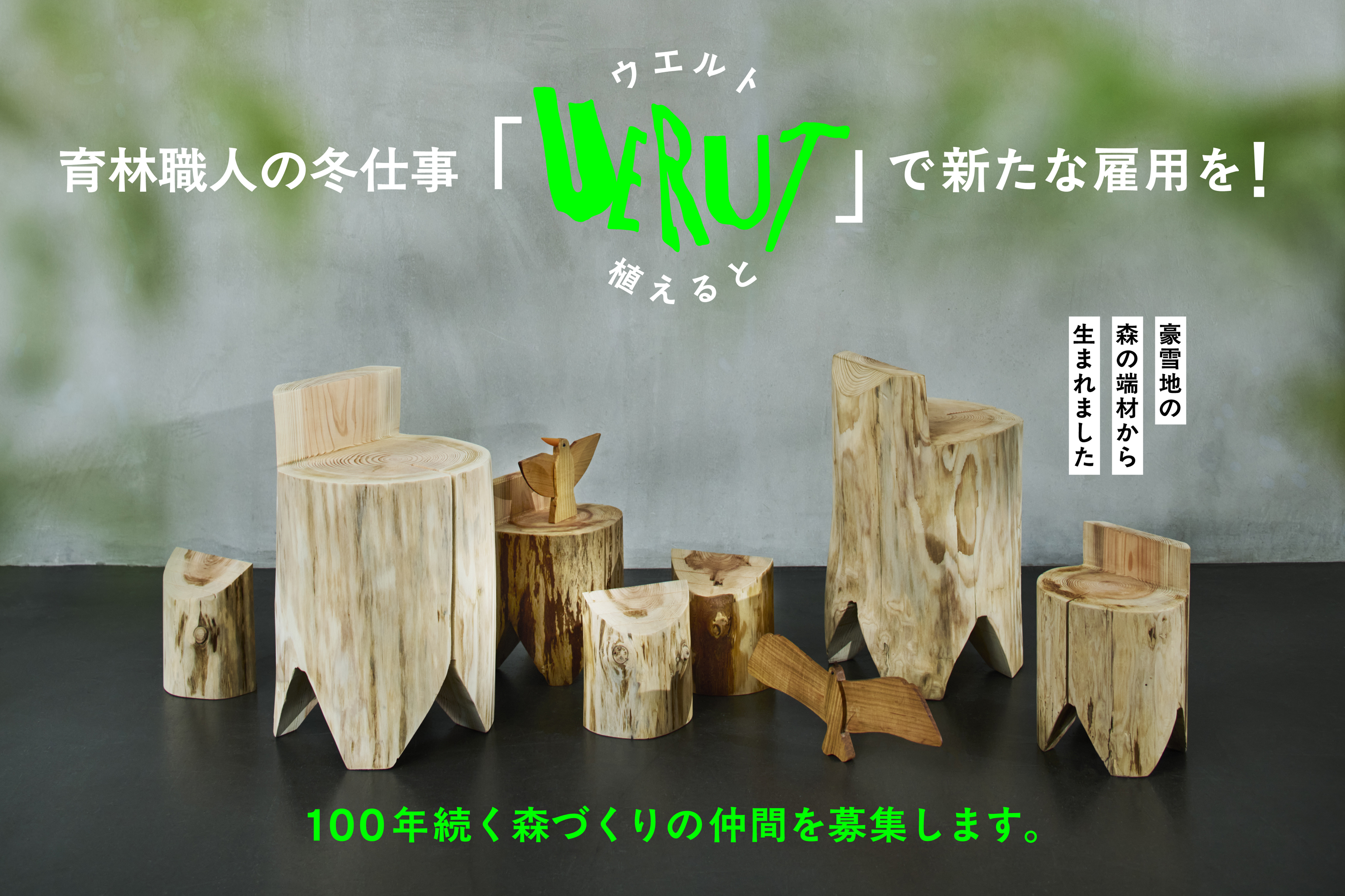 news feed image