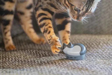 14_HP-C28BTH_メインイメージ_2