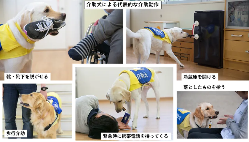 介助作業