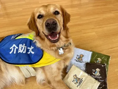 返礼品タオルハンカチ1