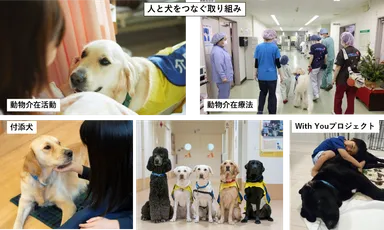 人と犬をつなぐ取り組み