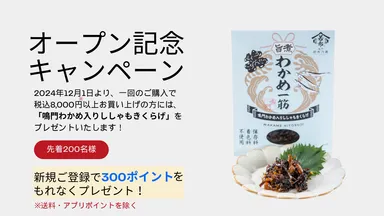 オープン記念プレゼントの概要