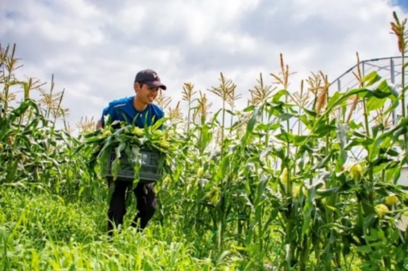 白石農園 白石 敏明代表(1)