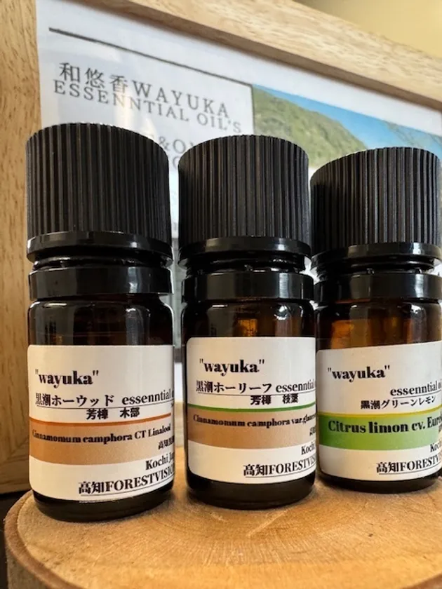 ホーウッド・ホーリーフ・黒潮グリーンレモン