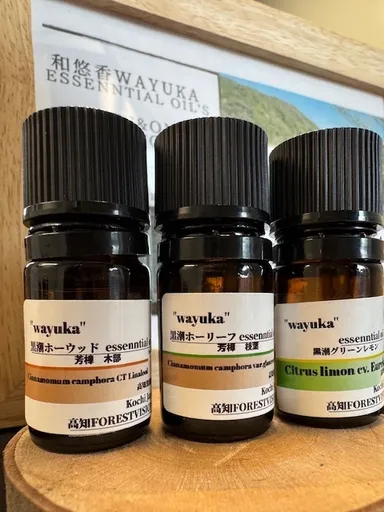 ホーウッド・ホーリーフ・黒潮グリーンレモン