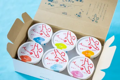 熱海ヨーグルト 全6フレーバー