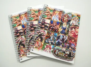 『姫奪!!』ノート