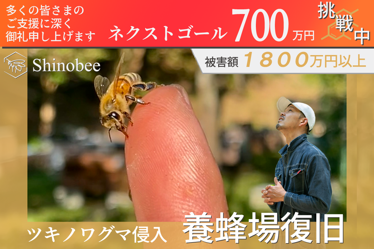 「たなか養蜂園」、ツキノワグマ被害からの復旧をつなぐCAMPFIREプロジ...