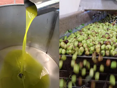 エキストラバージンオリーブオイル