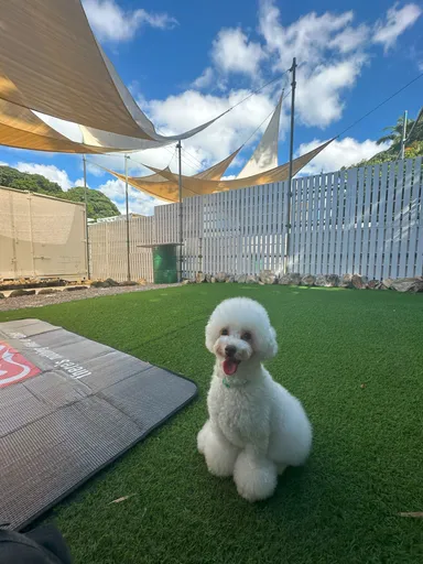 ドッグラン完備