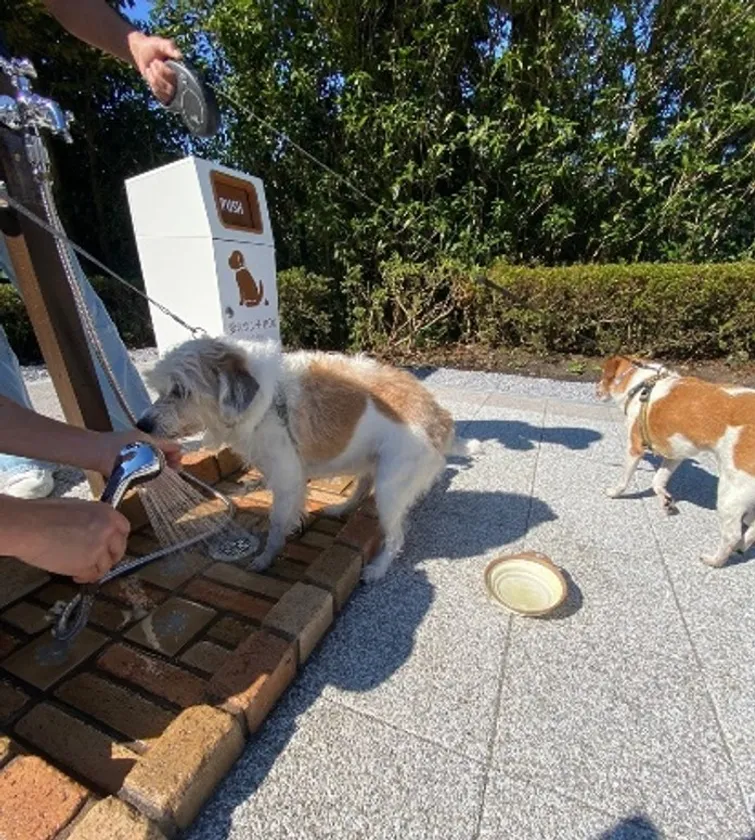 ▲新設「わんちゃんオアシス」(2)