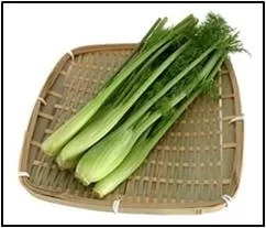 希少な「葉物野菜」スティッキオ