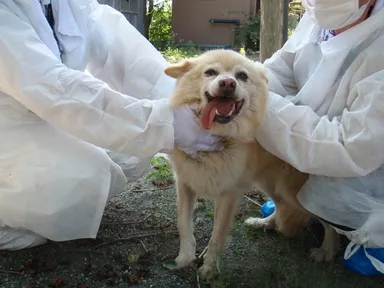 救助後の検査で