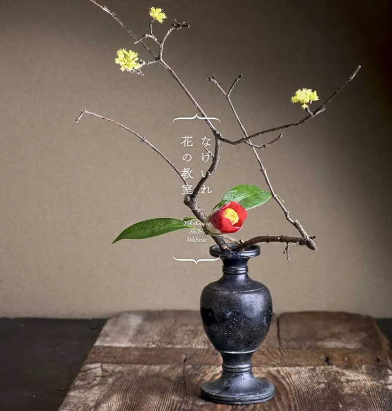 横川志歩 イメージ写真 Instagram: @shiho_yokokawa