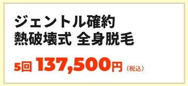 ジェントルシリーズ確約 熱破壊式医療脱毛 全身 5回コース