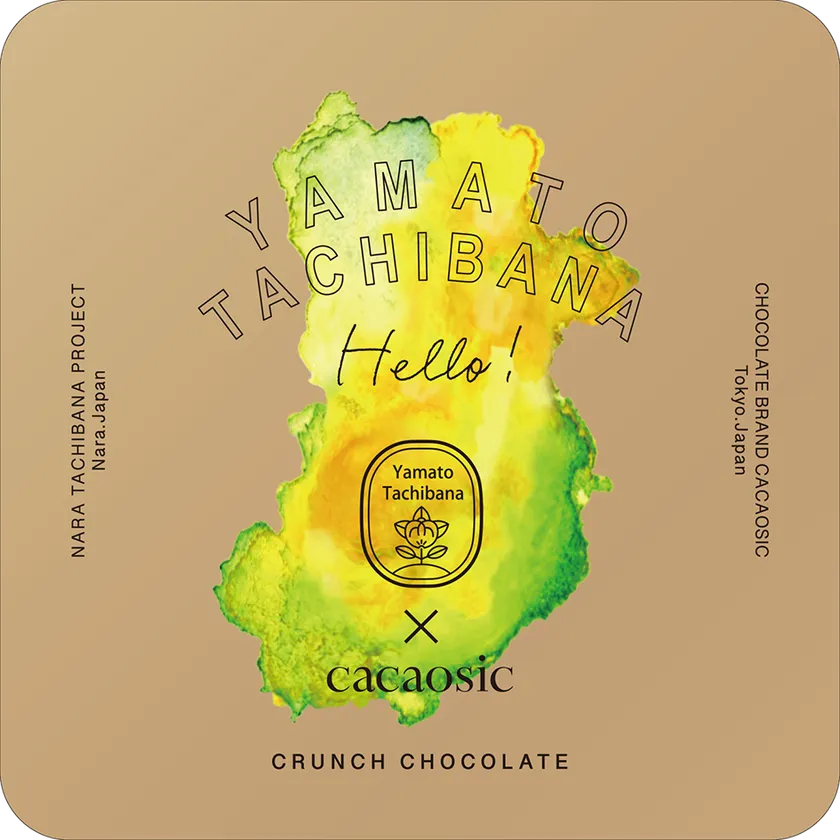 大和橘ロッシェ デザイン