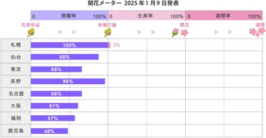 2025年桜開花メーター