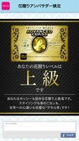 アンバサダー証