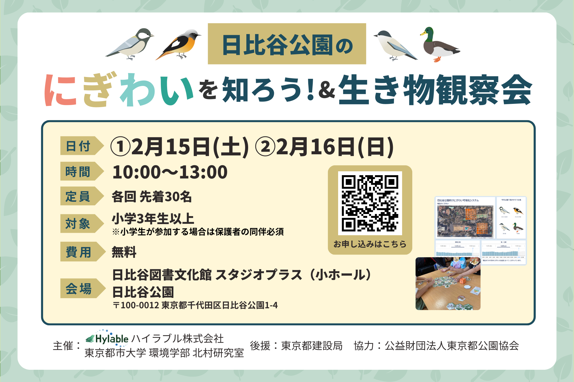 news feed image