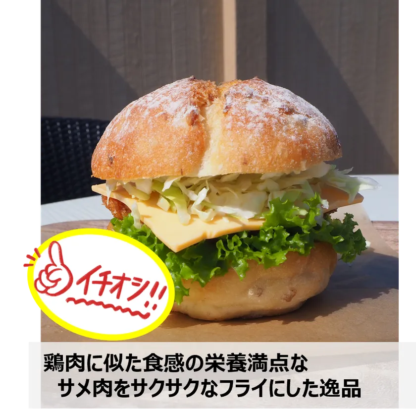 画像:道の駅 大谷海岸