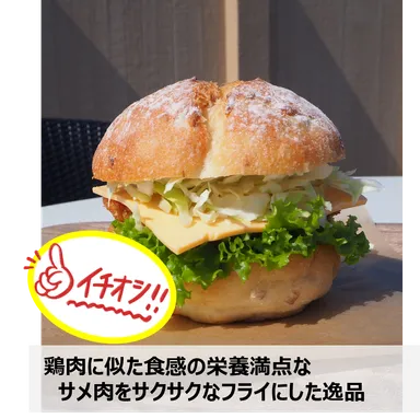 画像：道の駅 大谷海岸