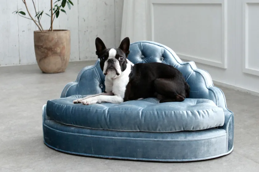 オートクチュールペットソファ1「Pantages/パンテージ」