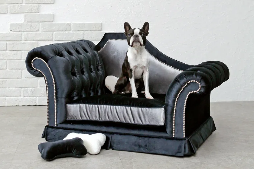 オートクチュールペットソファ2「Trebien/トレビアン」
