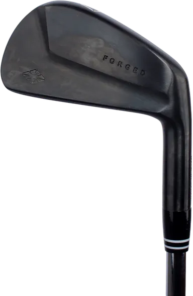 広田ゴルフ 軟鉄鍛造 フォージドコンボアイアン  ミドルアイアン ショートアイアン 黒染め仕上げ(1)