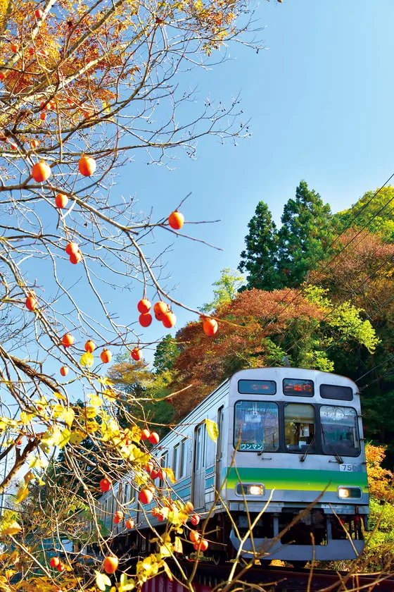 7500系車両 イメージ