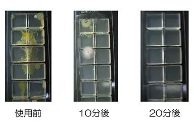 常在菌実地試験結果