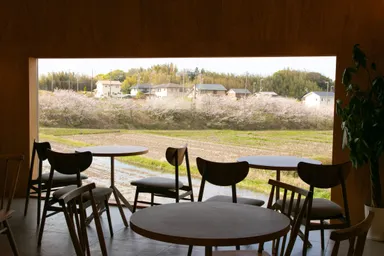 春には満開の桜をお楽しみいただけます。