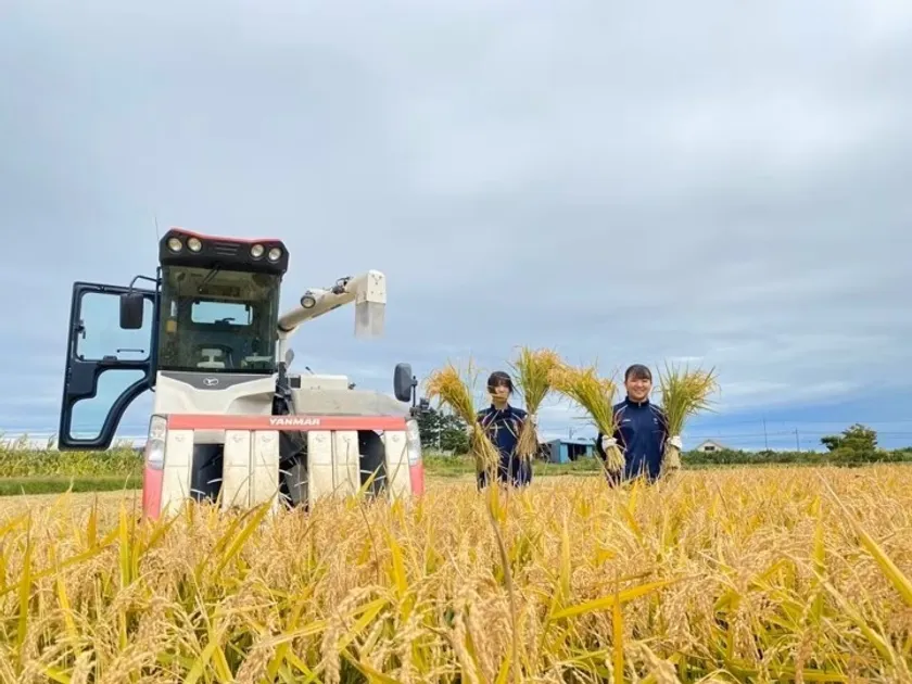 留学の活動の様子2