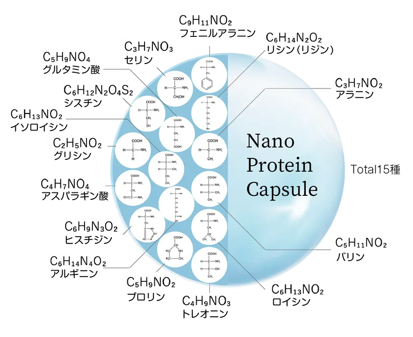 ナノプロテインカプセルイメージ