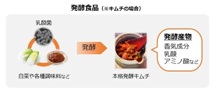 図1 発酵食品の発酵感が生じるイメージ